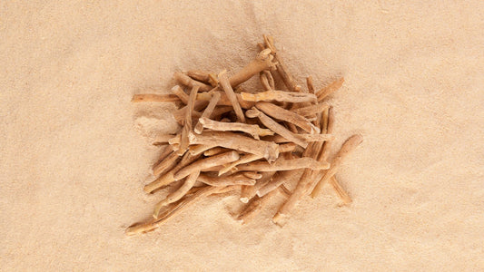 How Long Does Ashwagandha Stay in Your System – Everything You need to Know