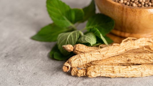 Why Consider Taking Ginkgo Biloba and Ginseng Together