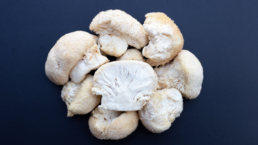 Lion’s Mane Benefits and Side Effects – Complete Guide