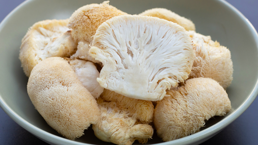 Is Lions’ Mane Psychedelic or Hallucinogenic?