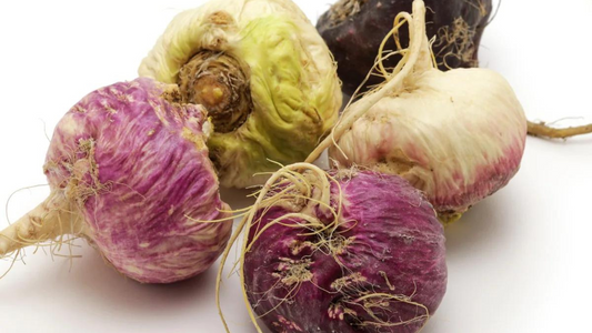 Red Maca vs Black Maca vs Yellow Maca – Ultimate Guide
