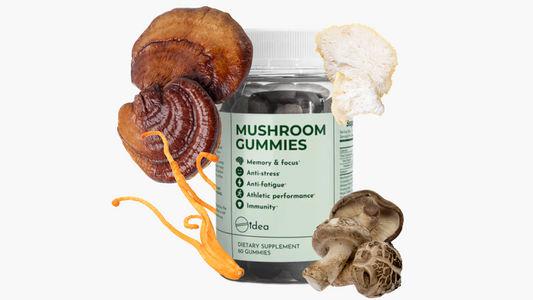 Mushroom Gummies Review (2024)